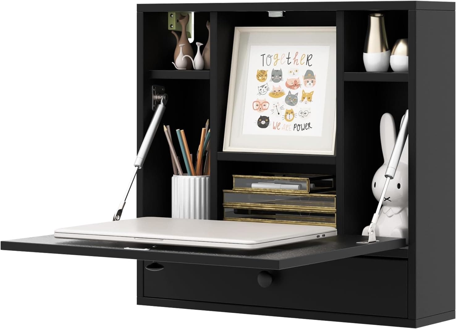 IFANNY Folding Wall-Mounted Desk with Storage